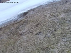 Spodní část sjezdovky č. 4