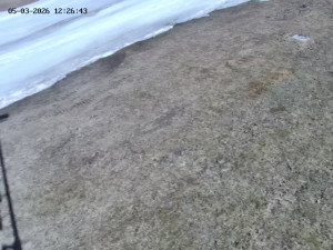 Skiareál Mosty u Jablunkova - Spodní část sjezdovky č. 4 - 5.3.2026 v 13:00