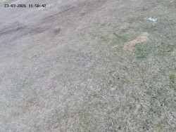 Spodní část sjezdovky č. 4