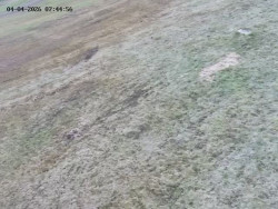 Spodní část sjezdovky č. 4