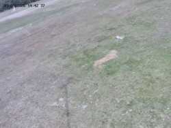 Spodní část sjezdovky č. 4