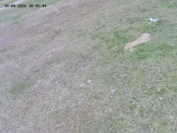 Spodní část sjezdovky č. 4