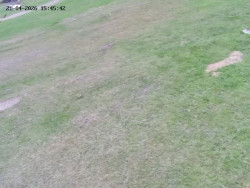 Spodní část sjezdovky č. 4