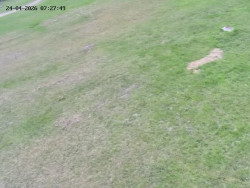 Spodní část sjezdovky č. 4