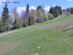 Spodní část sjezdovky č. 4