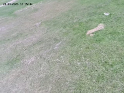 Spodní část sjezdovky č. 4