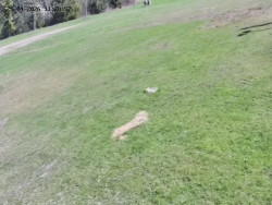 Spodní část sjezdovky č. 4