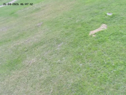 Spodní část sjezdovky č. 4