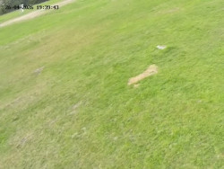 Spodní část sjezdovky č. 4