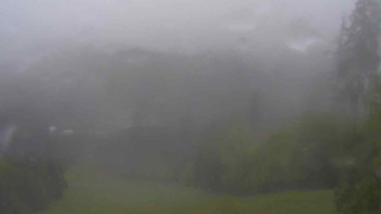 Snímek    15.5.2025 v 09:15