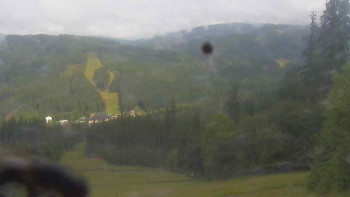 Snímek    4.7.2025 v 09:50