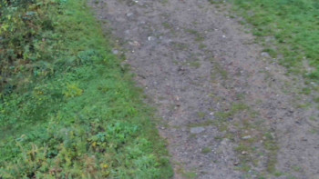 Snímek    13.9.2025 v 08:30