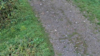 Snímek    13.9.2025 v 10:30