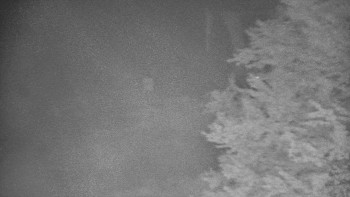 Snímek    15.10.2025 v 05:00