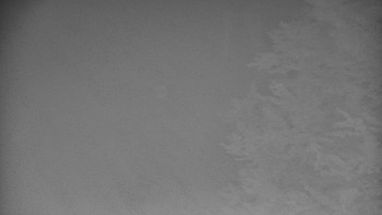 Snímek    15.10.2025 v 06:00