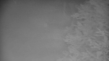 Snímek    16.10.2025 v 06:00