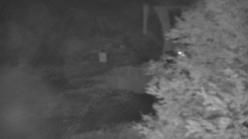 Snímek    24.10.2025 v 03:30