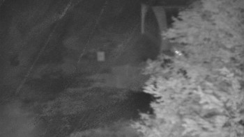 Snímek    24.10.2025 v 04:30