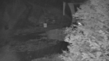 Snímek    24.10.2025 v 06:30