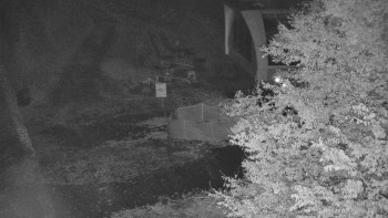 Snímek    25.10.2025 v 19:00