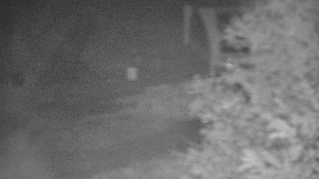 Snímek    27.10.2025 v 18:00