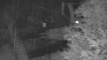 Snímek    27.10.2025 v 21:30