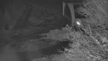 Snímek    2.11.2025 v 23:00