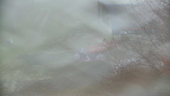 Snímek    3.11.2025 v 10:00