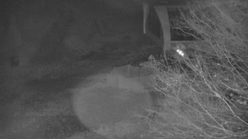 Snímek    3.11.2025 v 18:00