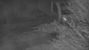 Snímek    3.11.2025 v 19:00