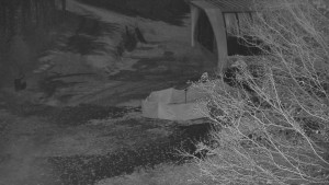 Skiareál Bílá - Bílá - panorama - 6.11.2025 v 01:30