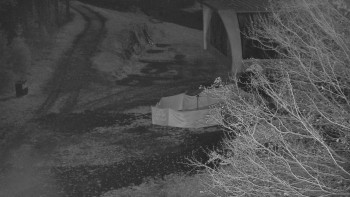 Snímek 6.11.2025 v 05:30