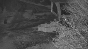 Skiareál Bílá - Bílá - panorama - 6.11.2025 v 20:30 Skiareál Bílá - Bílá - panorama - 6.11.2025 v 20:30