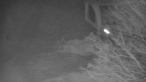 Skiareál Bílá - Bílá - panorama - 14.11.2025 v 02:30