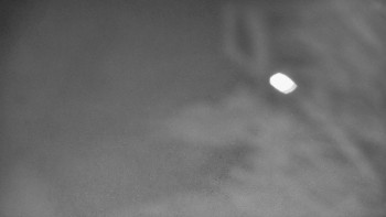 Snímek    14.11.2025 v 05:00