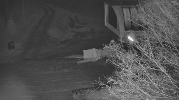 Snímek    15.11.2025 v 00:00