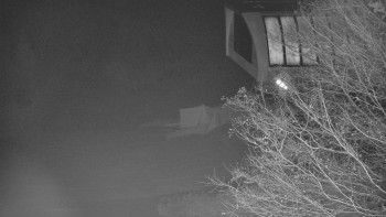 Snímek 16.11.2025 v 03:00