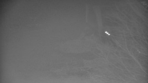 Skiareál Bílá - Bílá - panorama - 20.12.2025 v 05:30