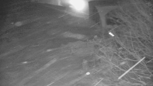 Skiareál Bílá - Bílá - panorama - 1.1.2026 v 04:30