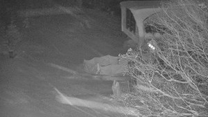 Skiareál Bílá - Bílá - panorama - 1.1.2026 v 06:30