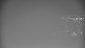 Skiareál Bílá - Bílá - panorama - 7.2.2026 v 06:30