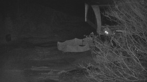 Skiareál Bílá - Bílá - panorama - 8.4.2026 v 03:30