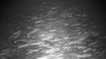 Golf & ski resort Ostravice