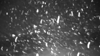 Golf & ski resort Ostravice