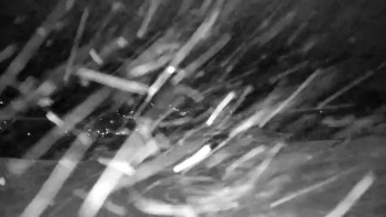 Golf & ski resort Ostravice