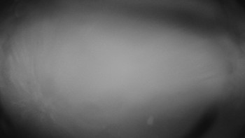 Snímek 17.11.2025 v 03:35