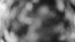 Troják, Maruška - meteo stanice