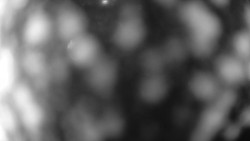 Troják, Maruška - meteo stanice