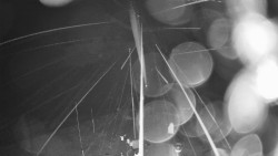 Troják, Maruška - meteo stanice