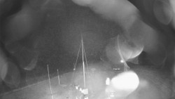 Troják, Maruška - meteo stanice